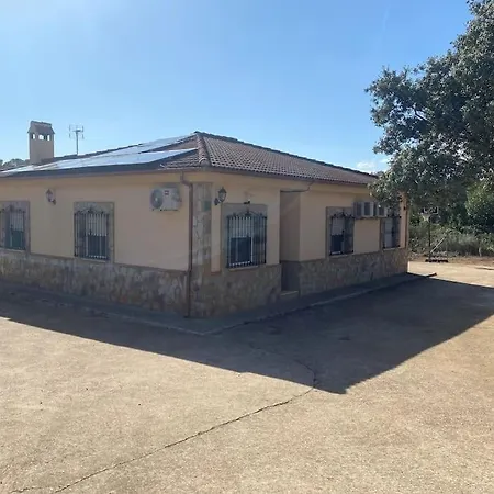 Il Consigliere * קורדובה